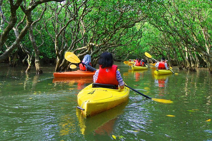 EcoKayak Zanzibar