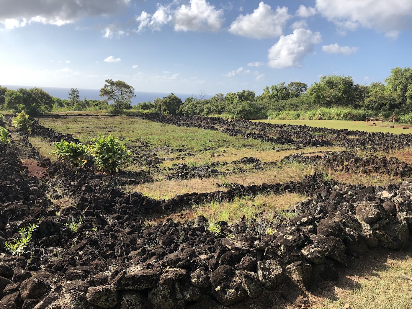 Pu'u O Mahuka Heiau State Historic Site