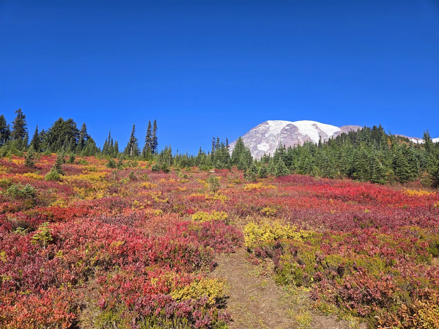 Paradise Meadows & Skyline Trailhead