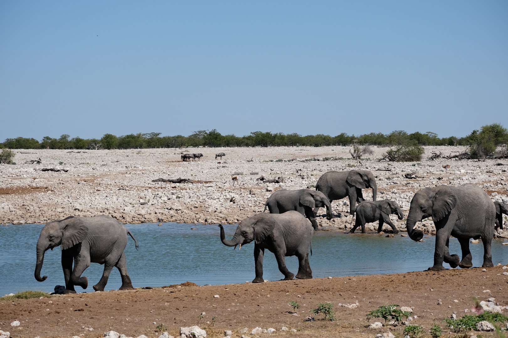 Etosha National Park