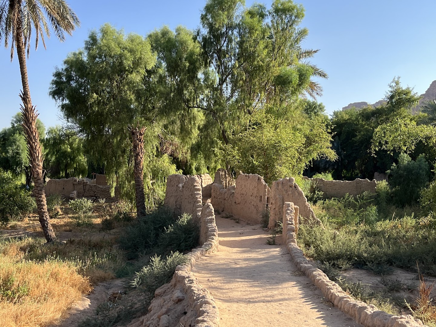 AlUla Oasis