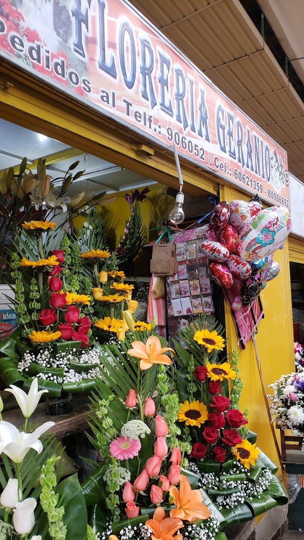 Mercado Lanza
