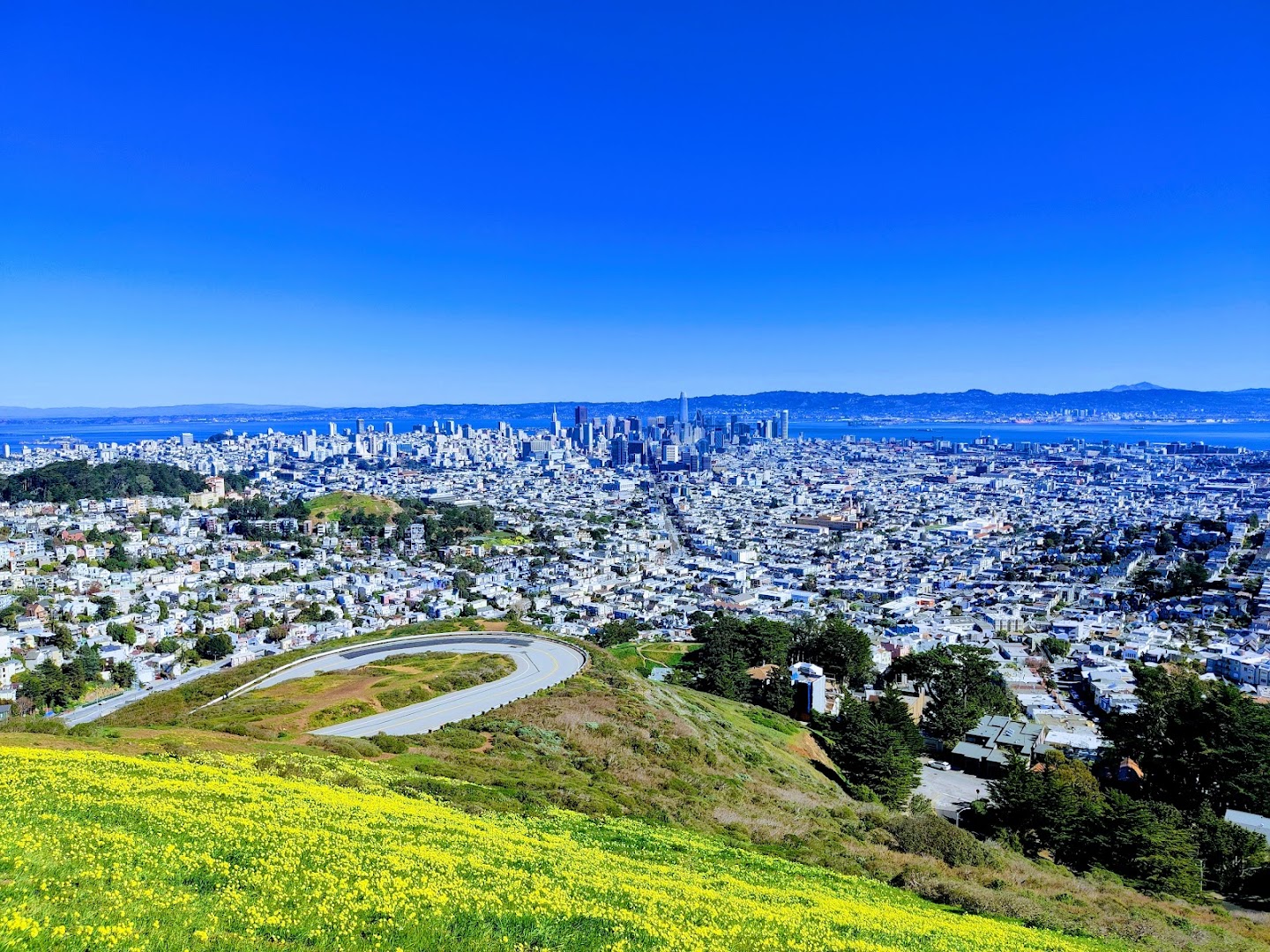 Twin Peaks