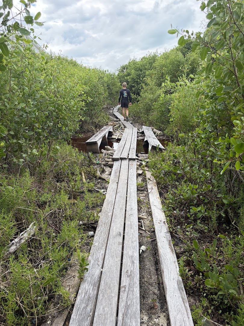 Caye Caulker Forest Reserve