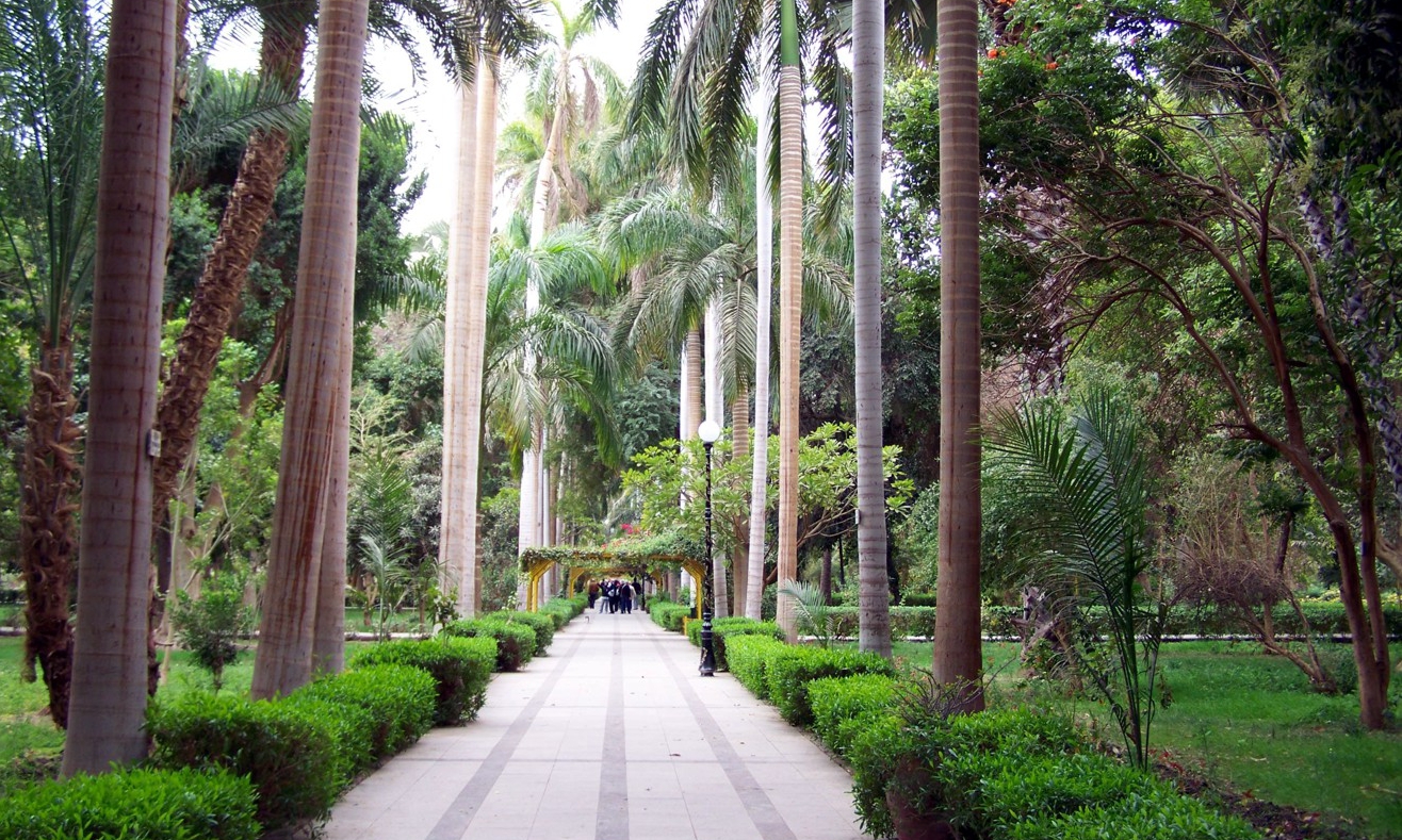 Aswan Botanical Garden