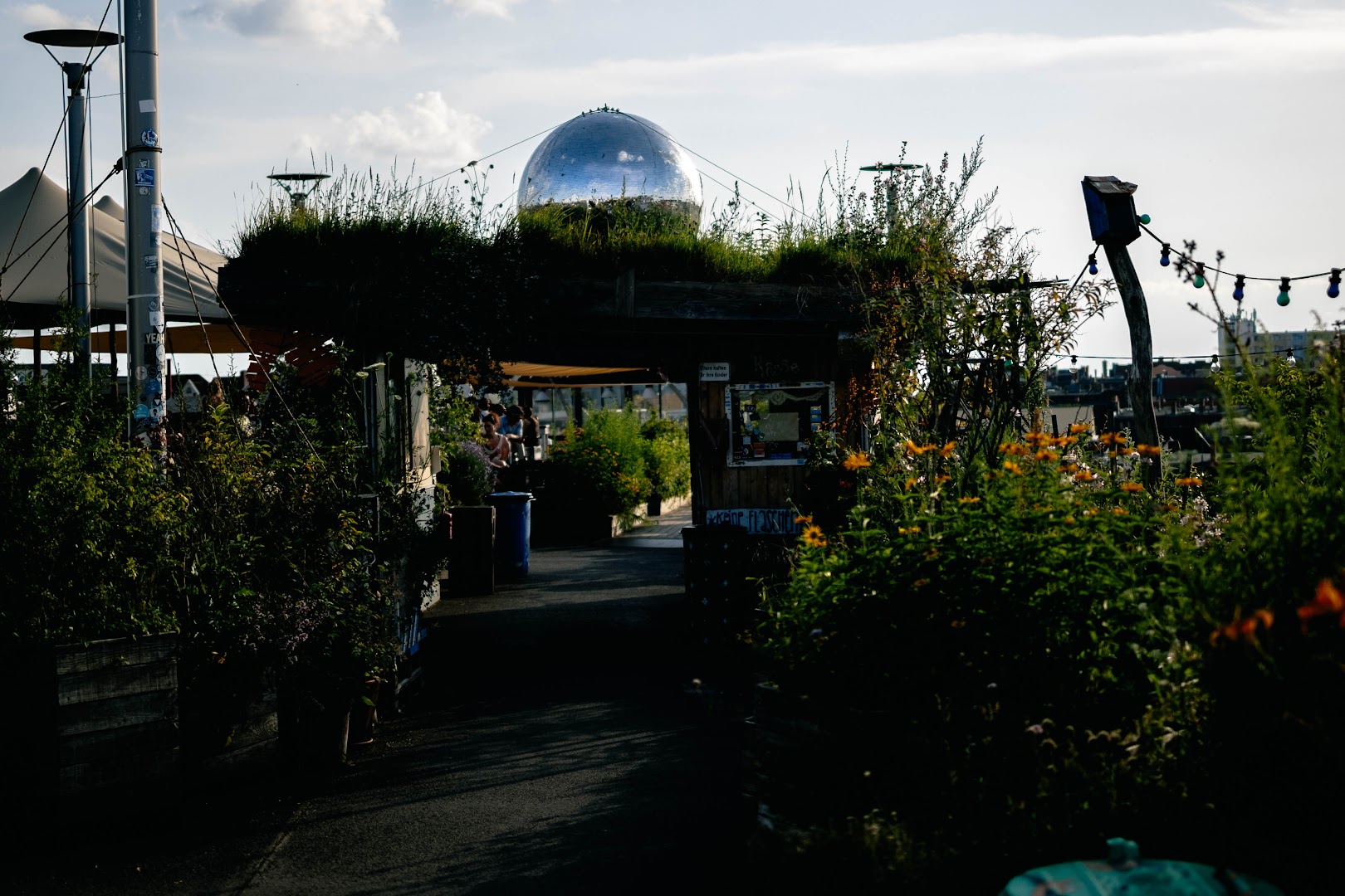 Klunkerkranich