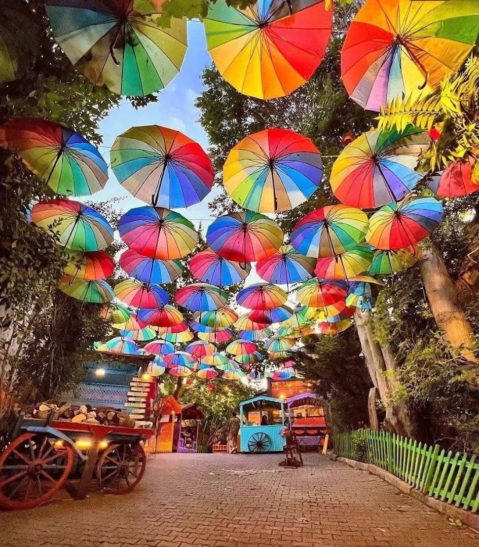 Colorful Stairs