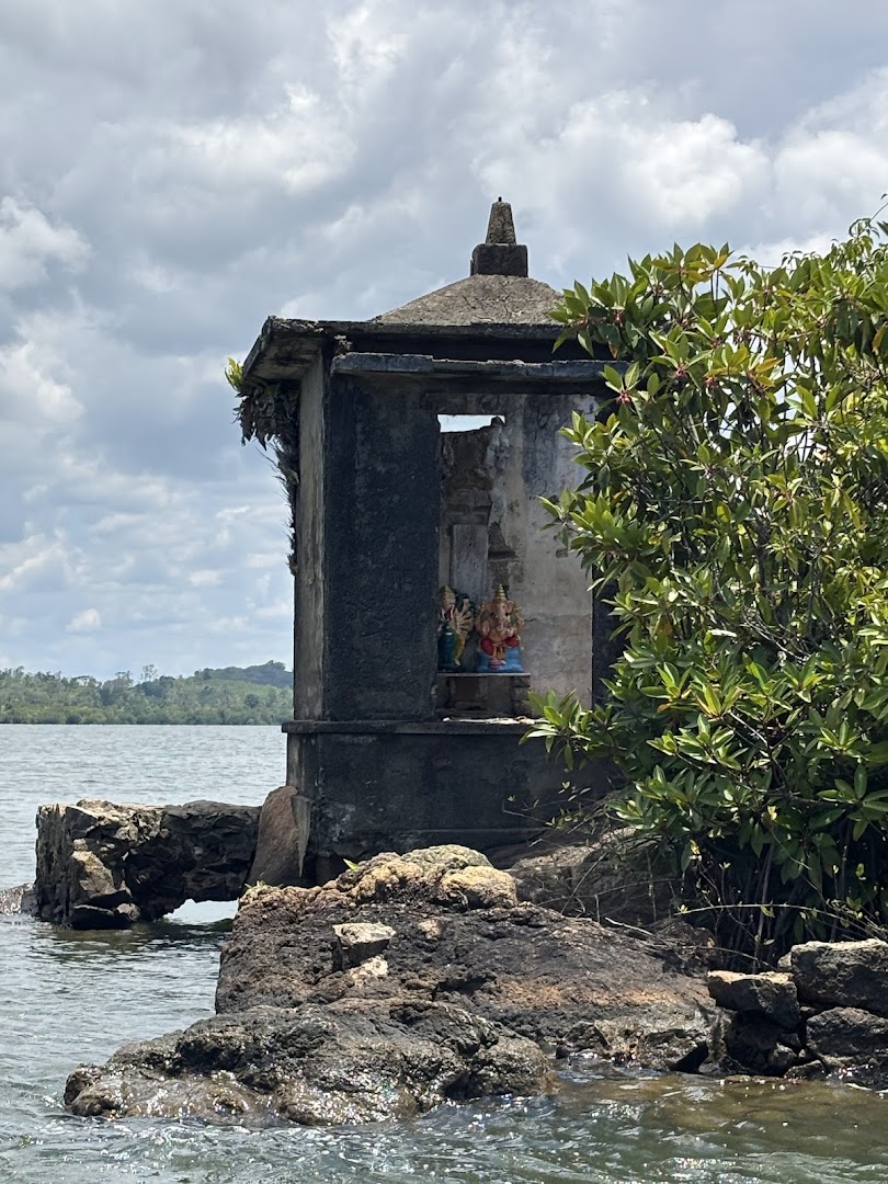 Madu Ganga Boat Safari | Madu River