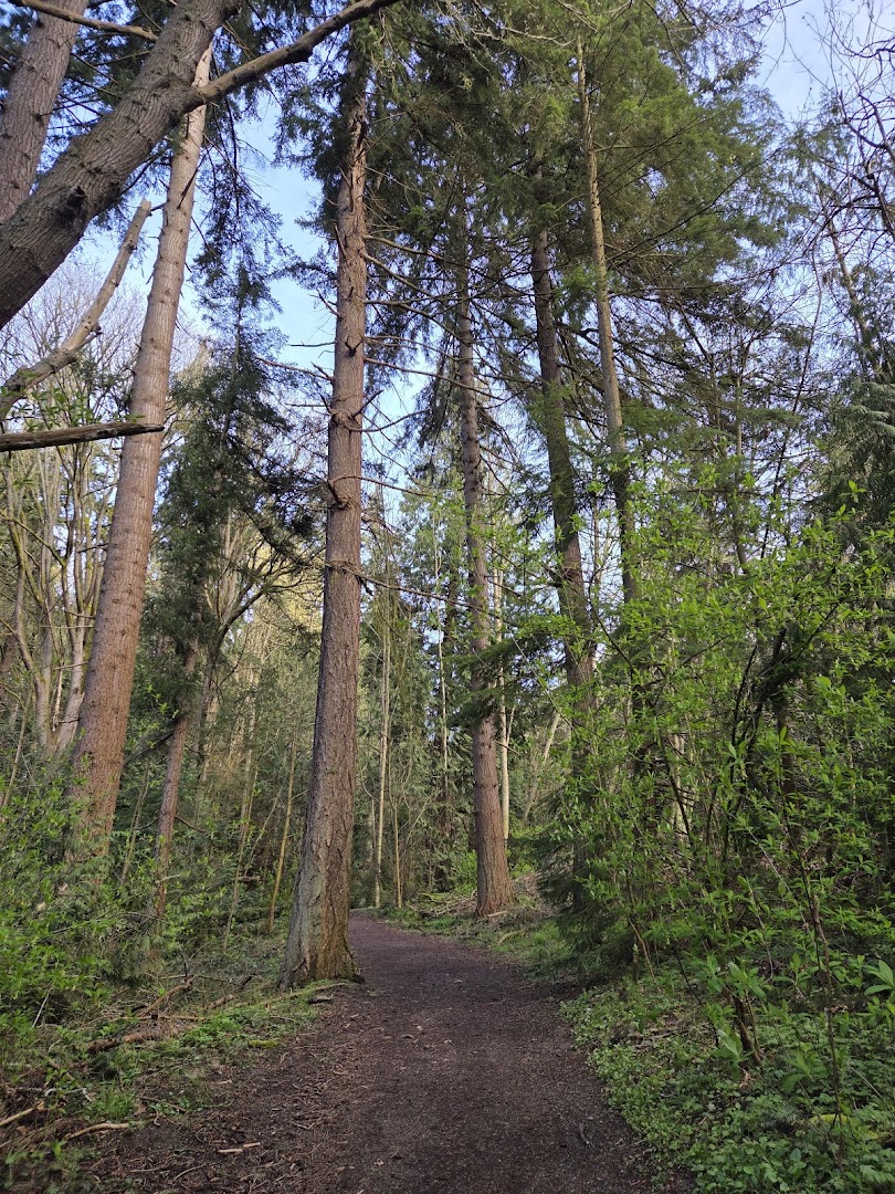 Loop Trail