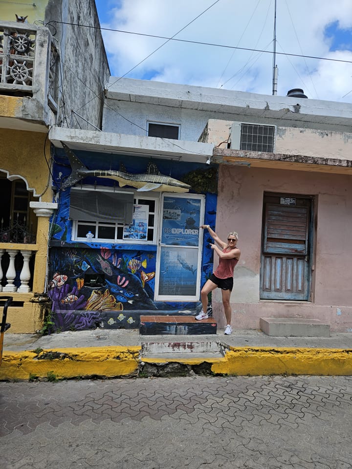 DC Explorer Snorkeling in Isla Mujeres and swim with Whale sharks