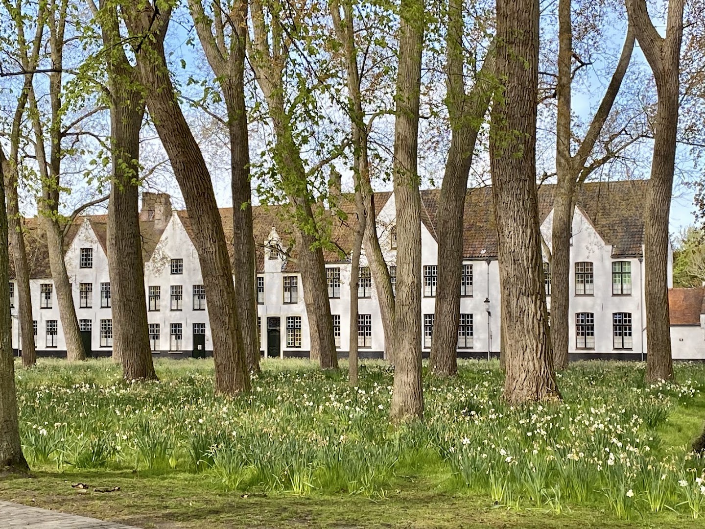 Beguinage "Ten Wijngaerde"