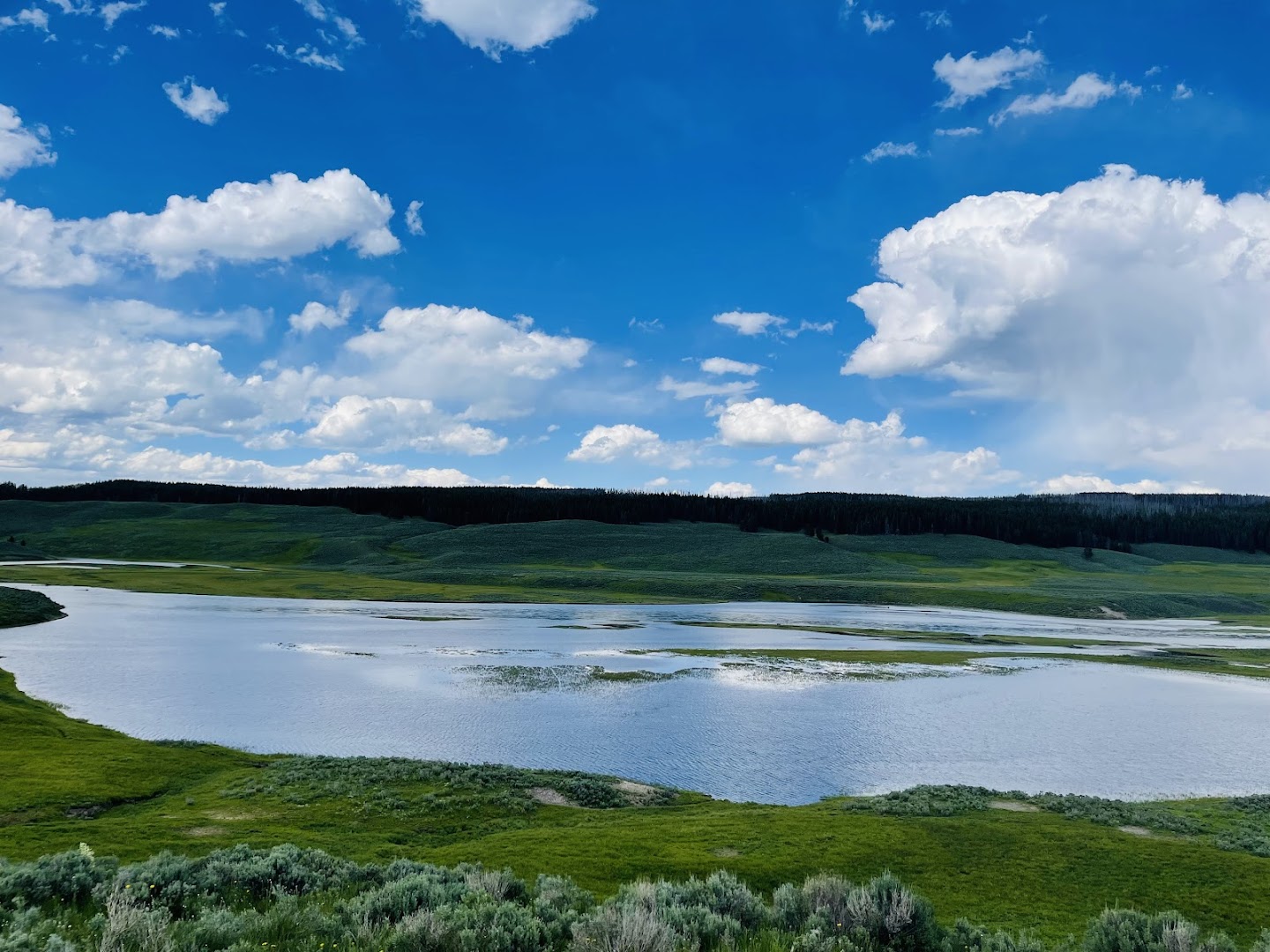 Hayden Valley Overlook at Yellowstone River