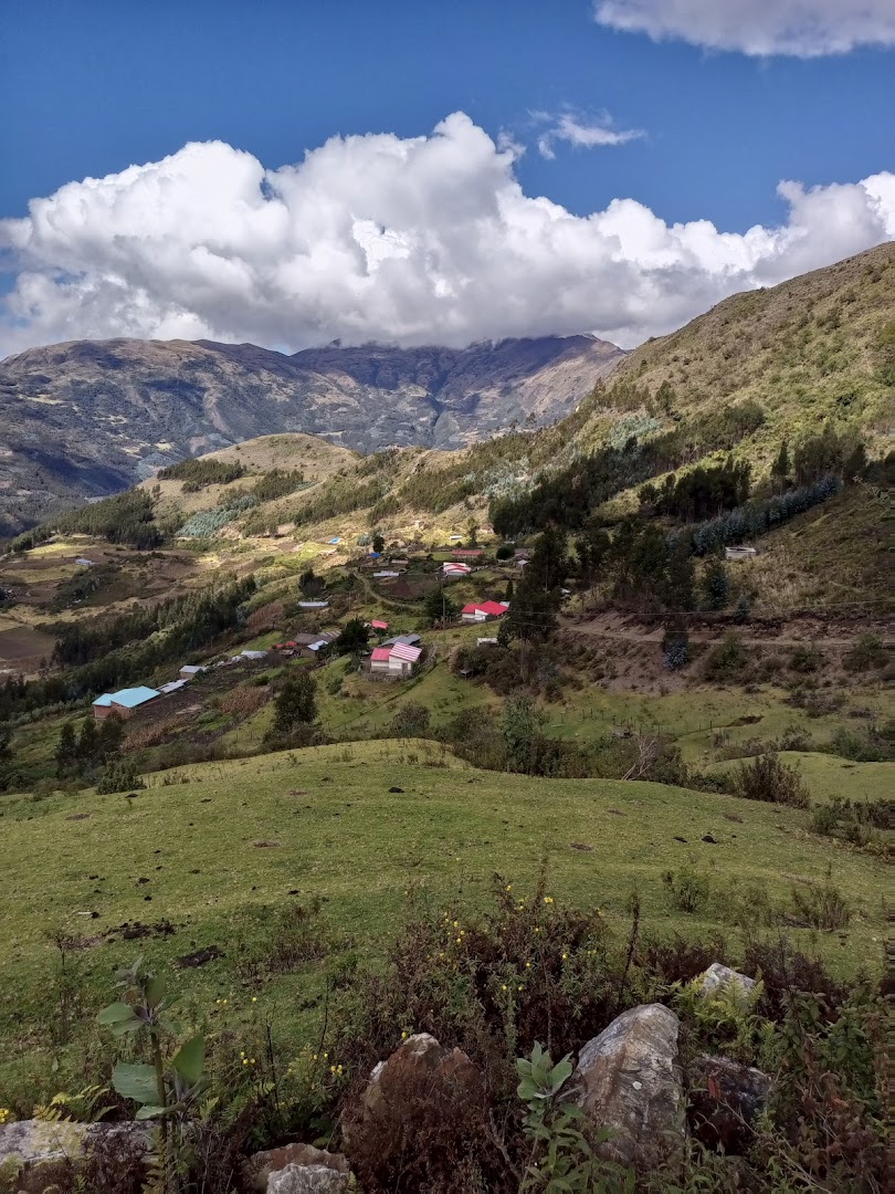 Cochabambita - Quime