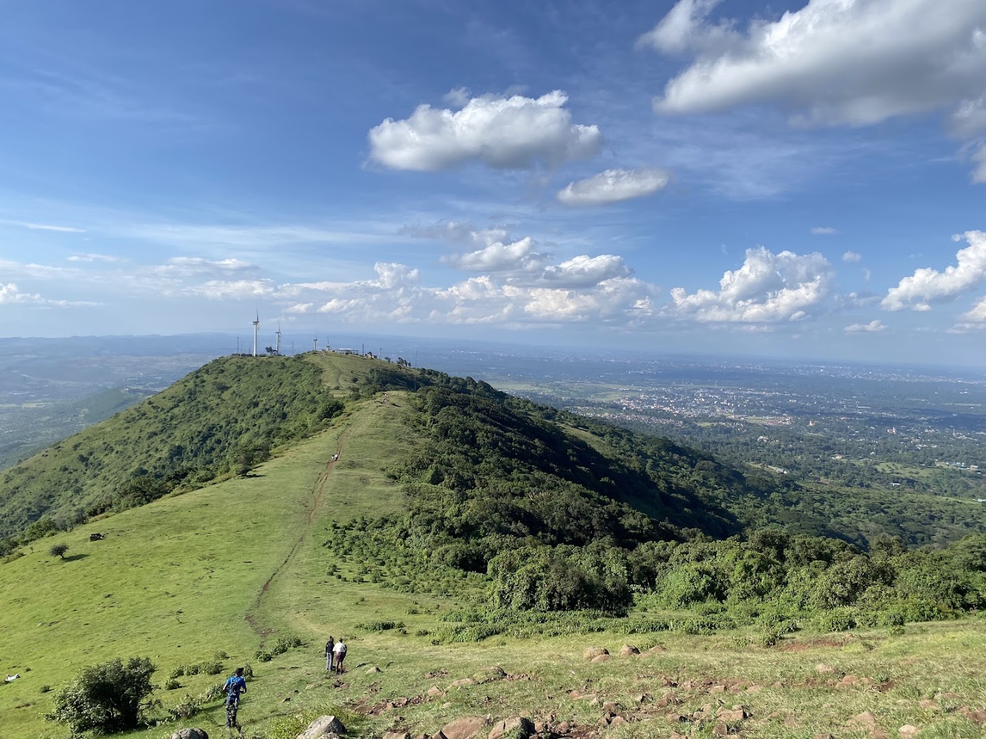 Ngong Hills Forest Reserve