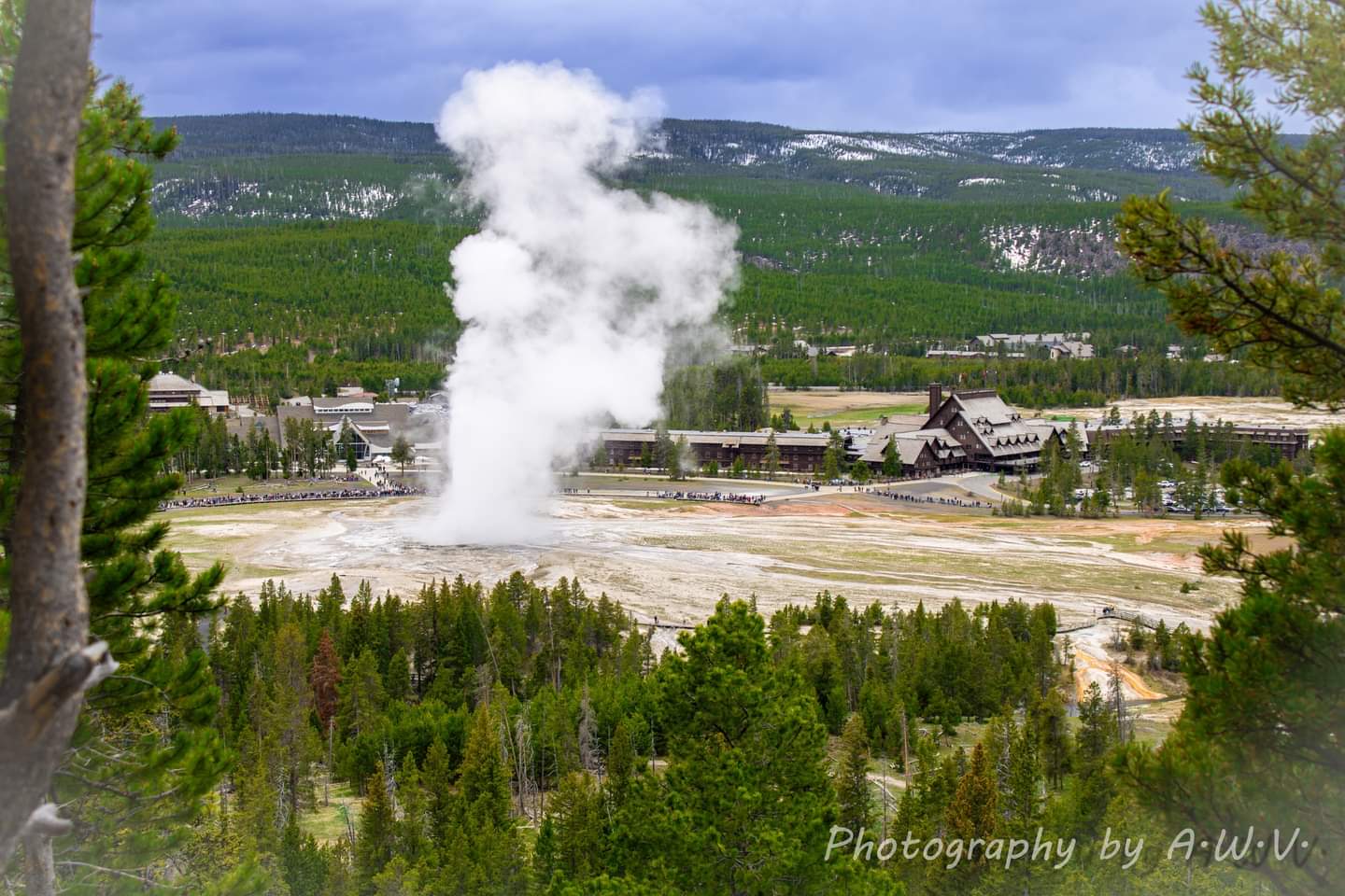 Old Faithful Viewing Area