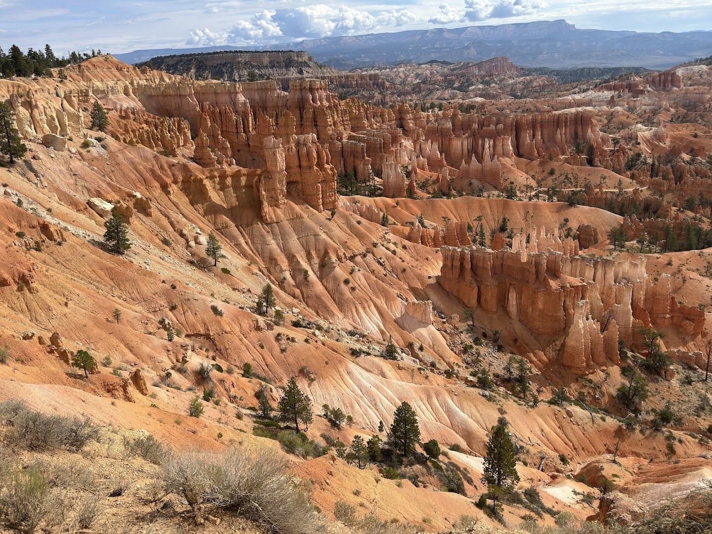 Bryce Point