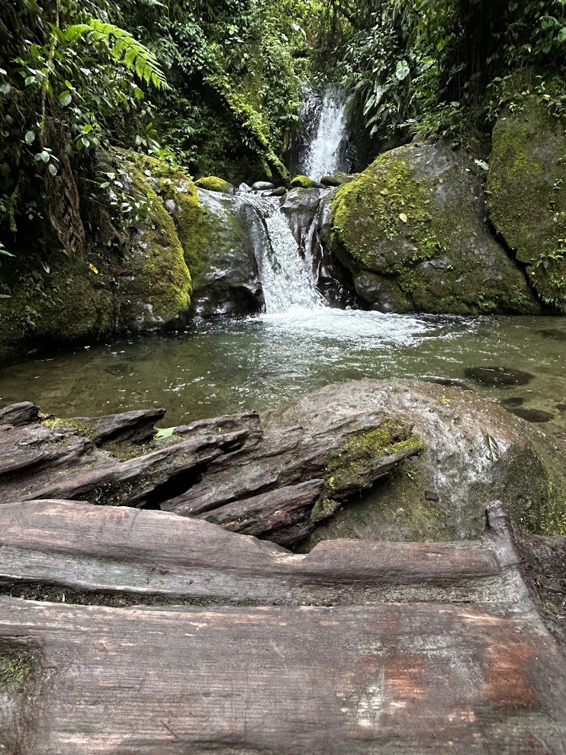 Mindo Cloudforest Foundation