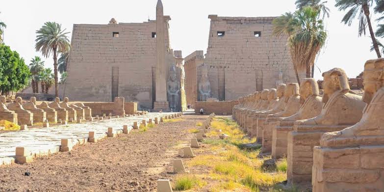The Sphinx Avenue