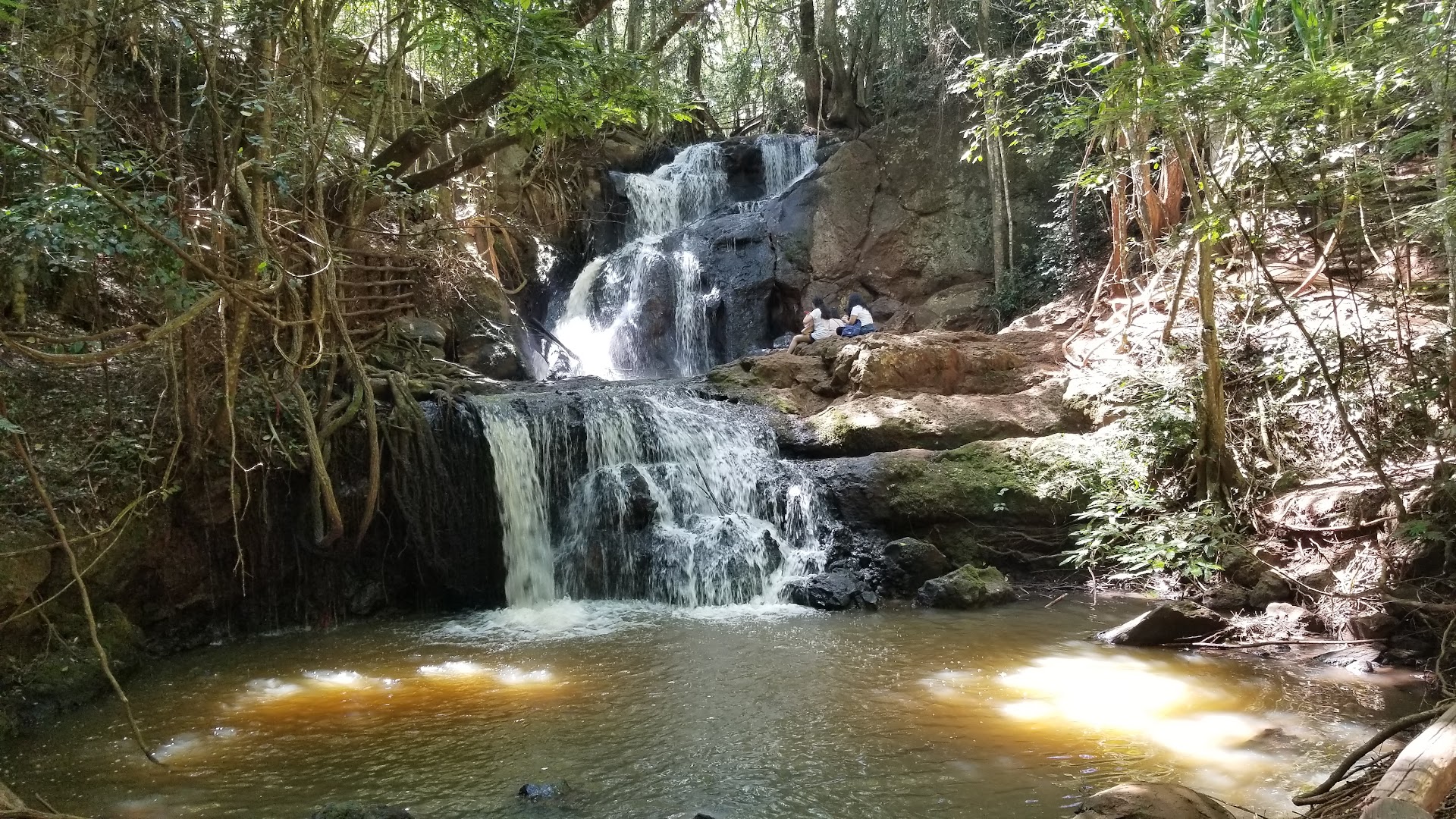 Karura Forest- Sigiria