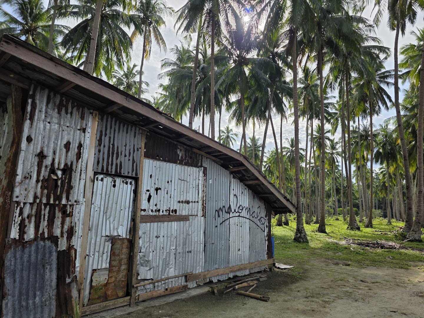Coconut Beach