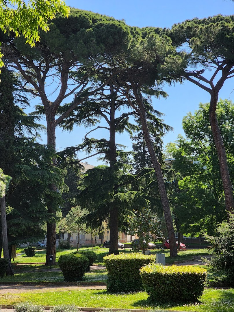 Naval Park