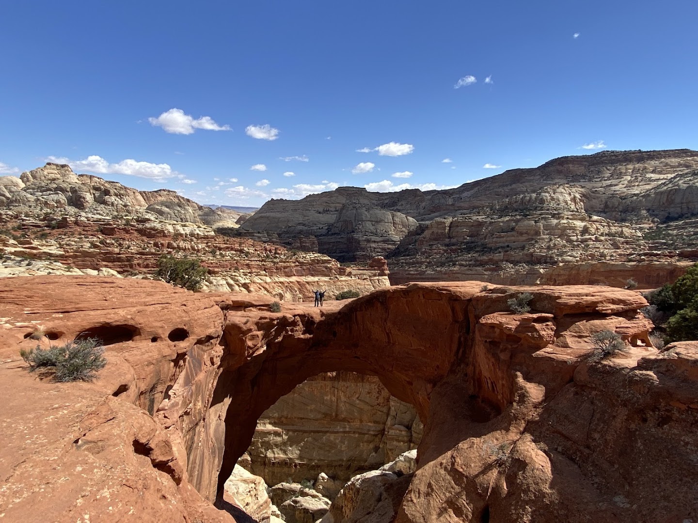 Cassidy Arch