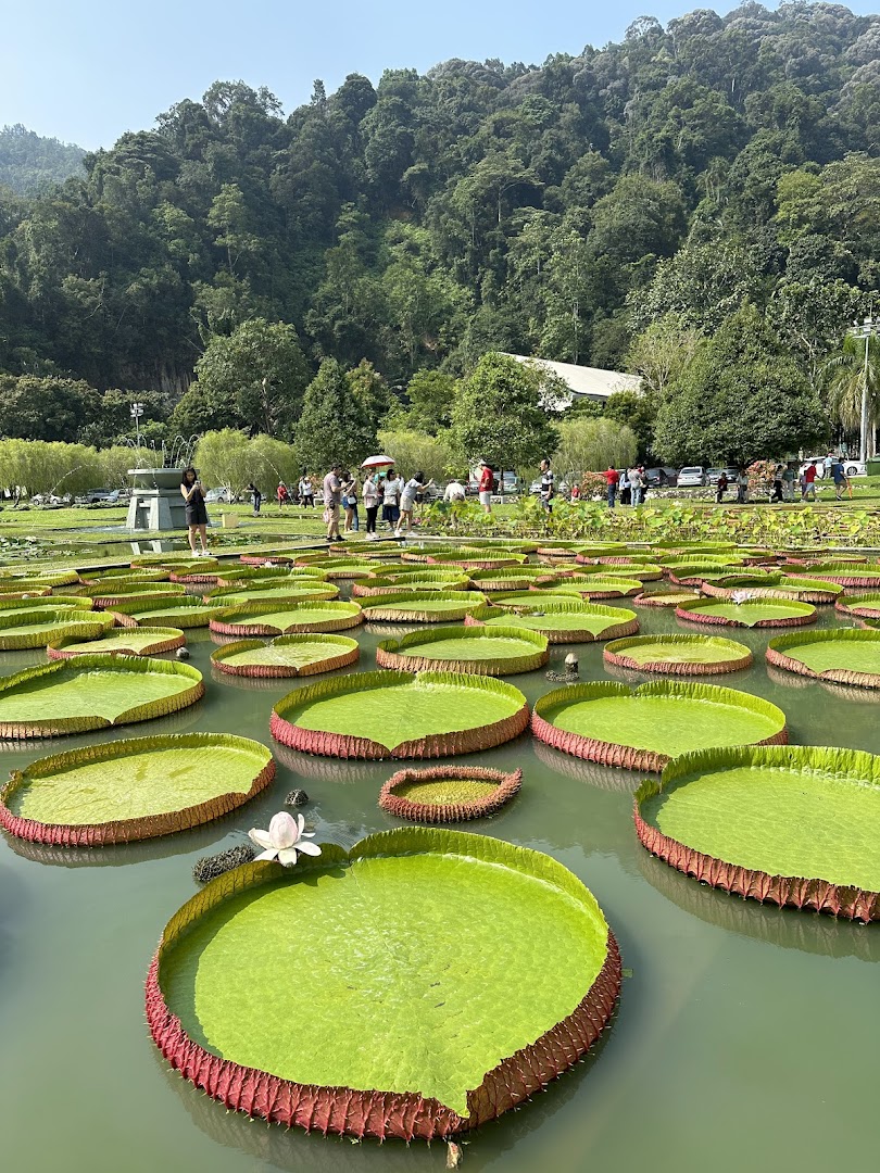 Botanical Gardens Penang