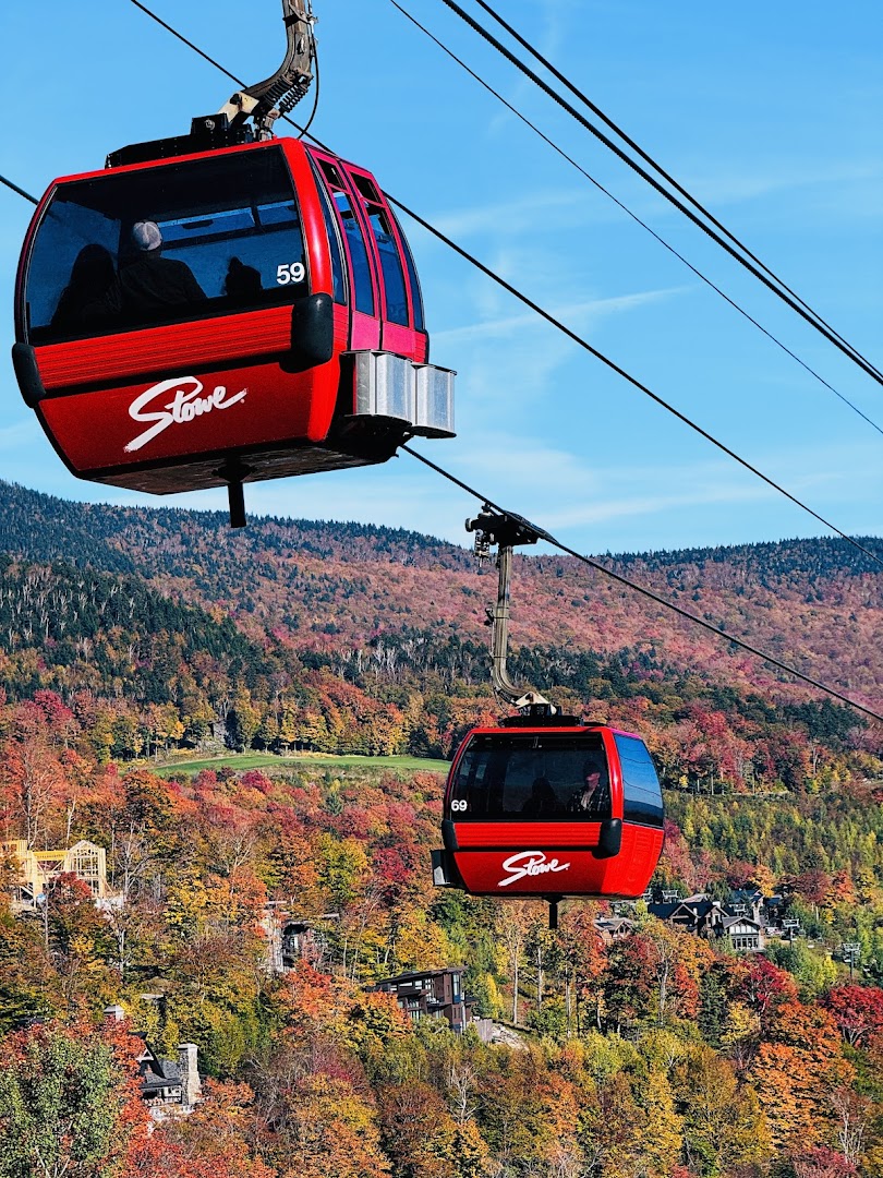 Gondola Skyride