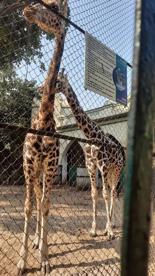 Zoological Garden Alipore