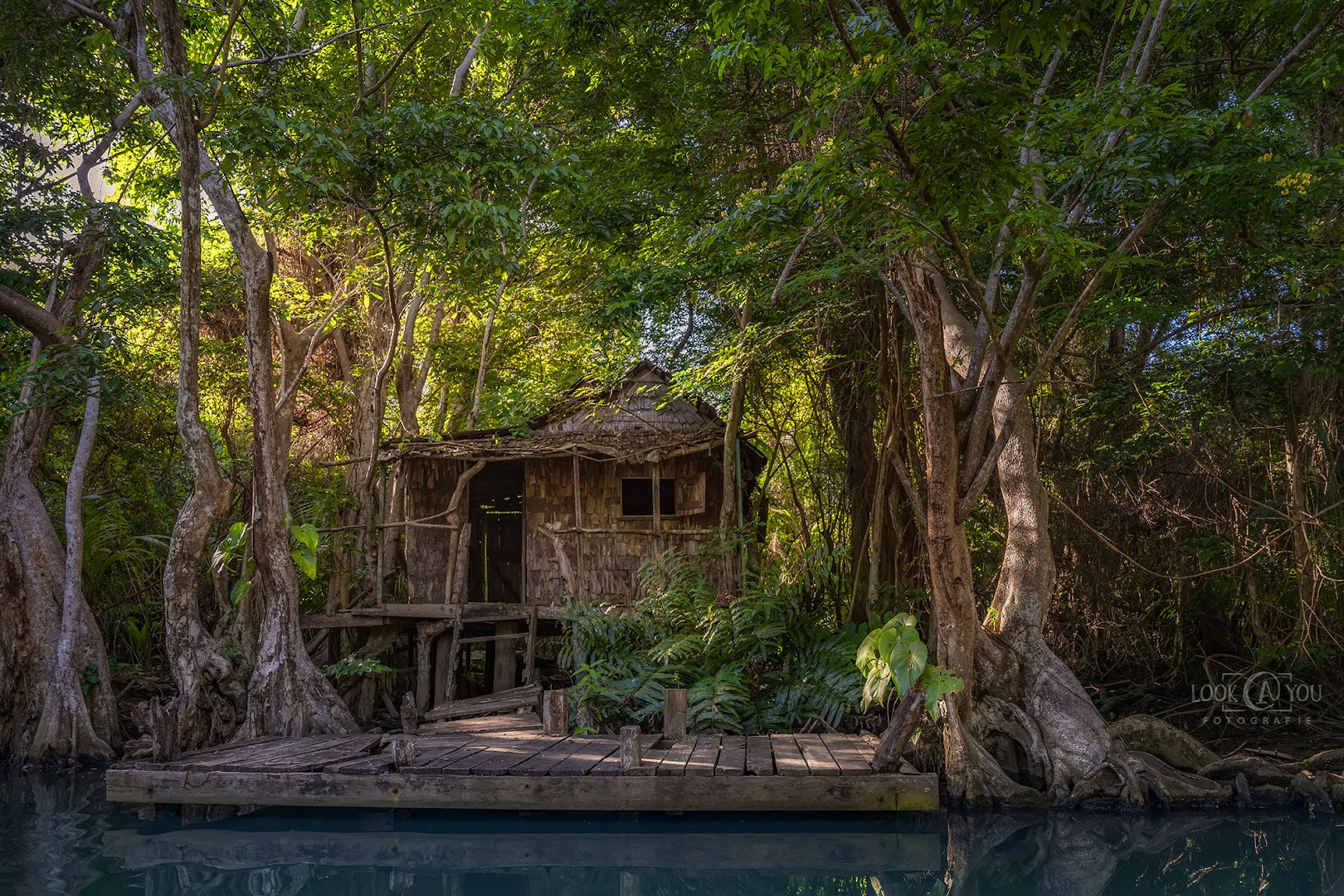 Indian River Tours