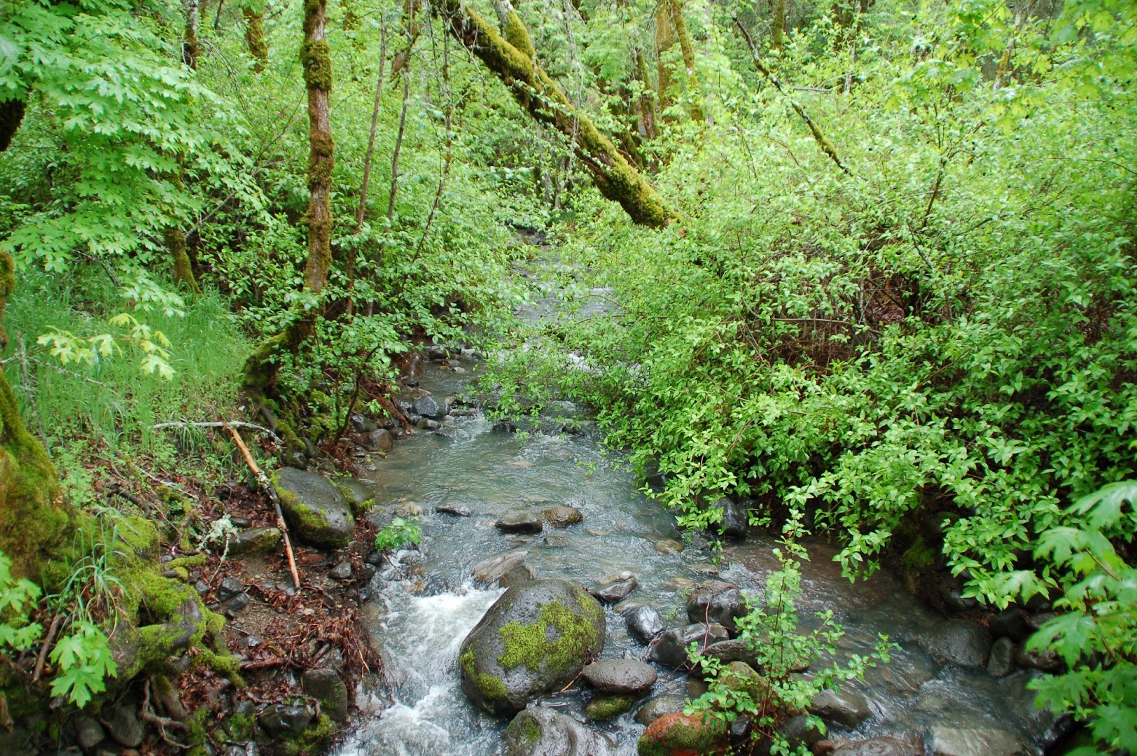 Bothe-Napa Valley State Park