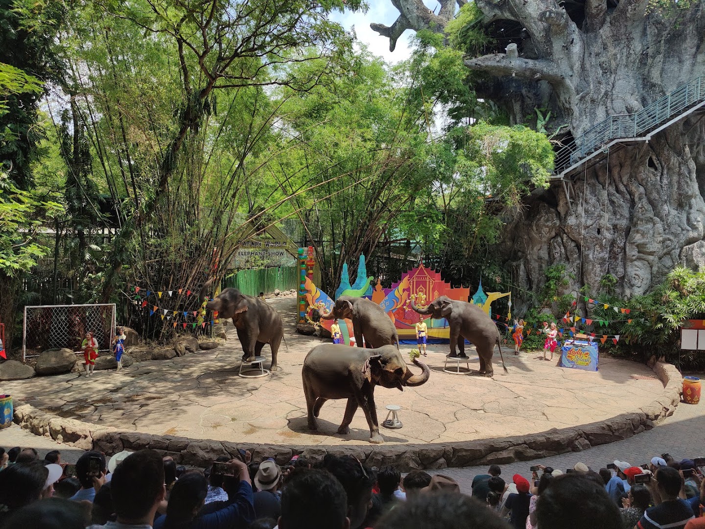 Safari World