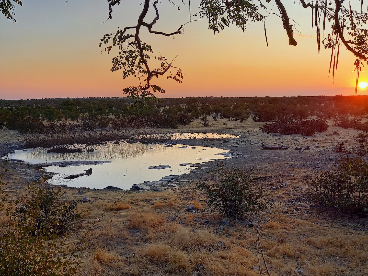 Moringa Waterhole Viewpoint