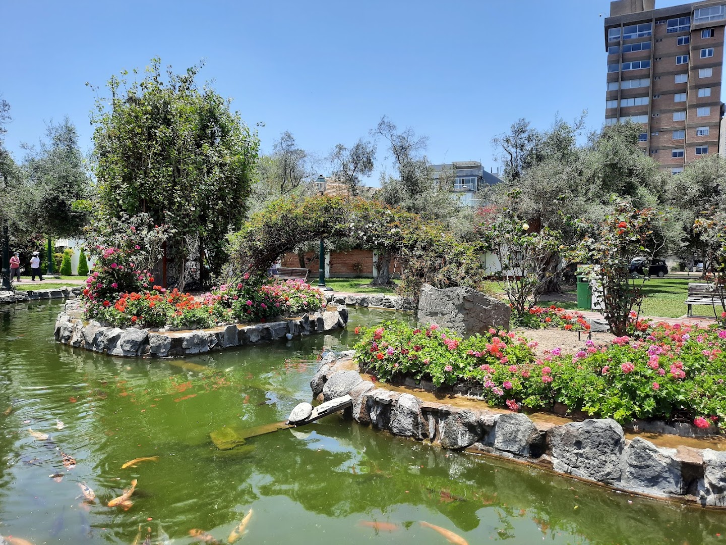 El Olivar de San Isidro Park