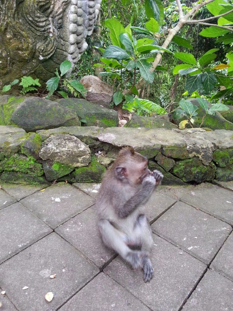 Botanic Garden Ubud