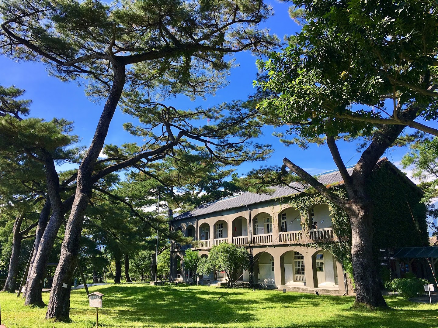 Pine Garden