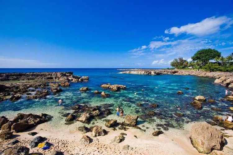 Shark’s Cove
