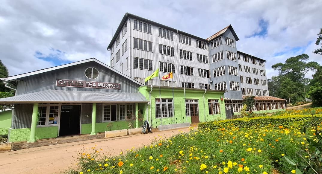 Ceylon Tea Museum