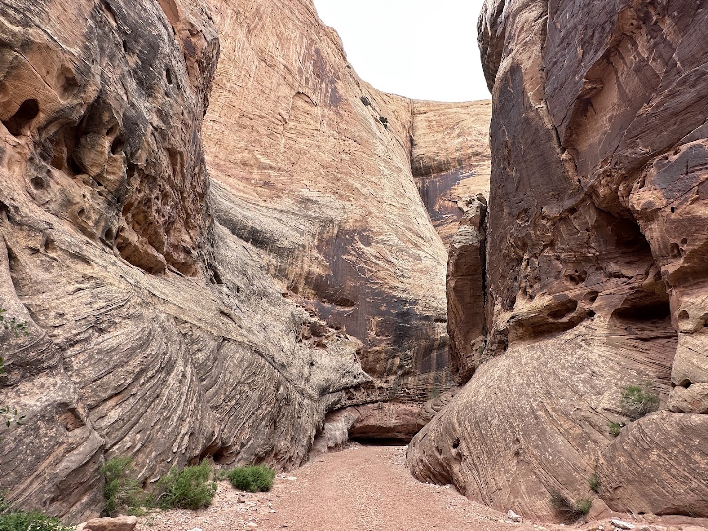 Grand Wash Trailhead