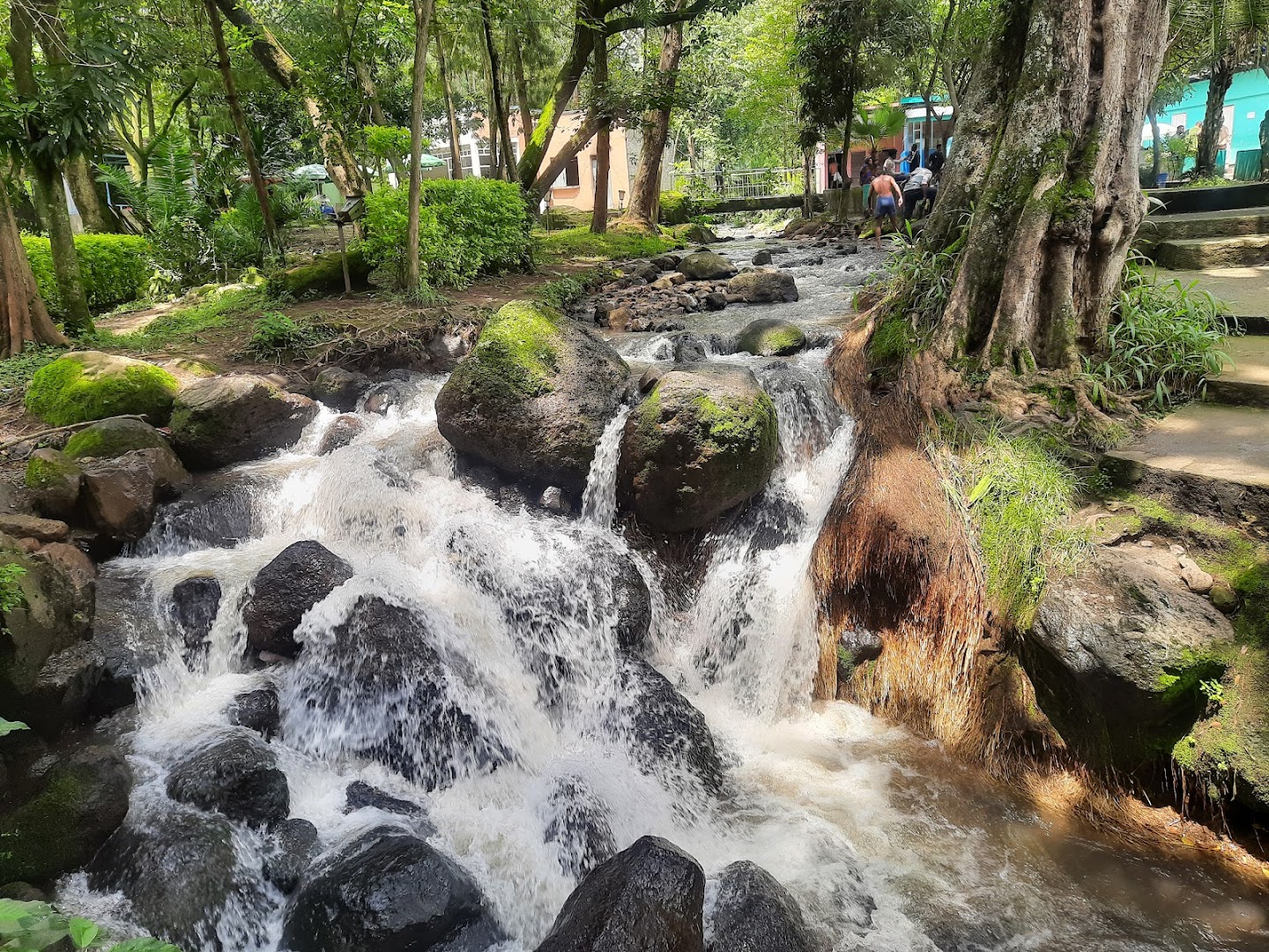 Wondo Genet Hot water and recreation ወንዶ ገነት ፍል ውሃ እና መዝናኛ