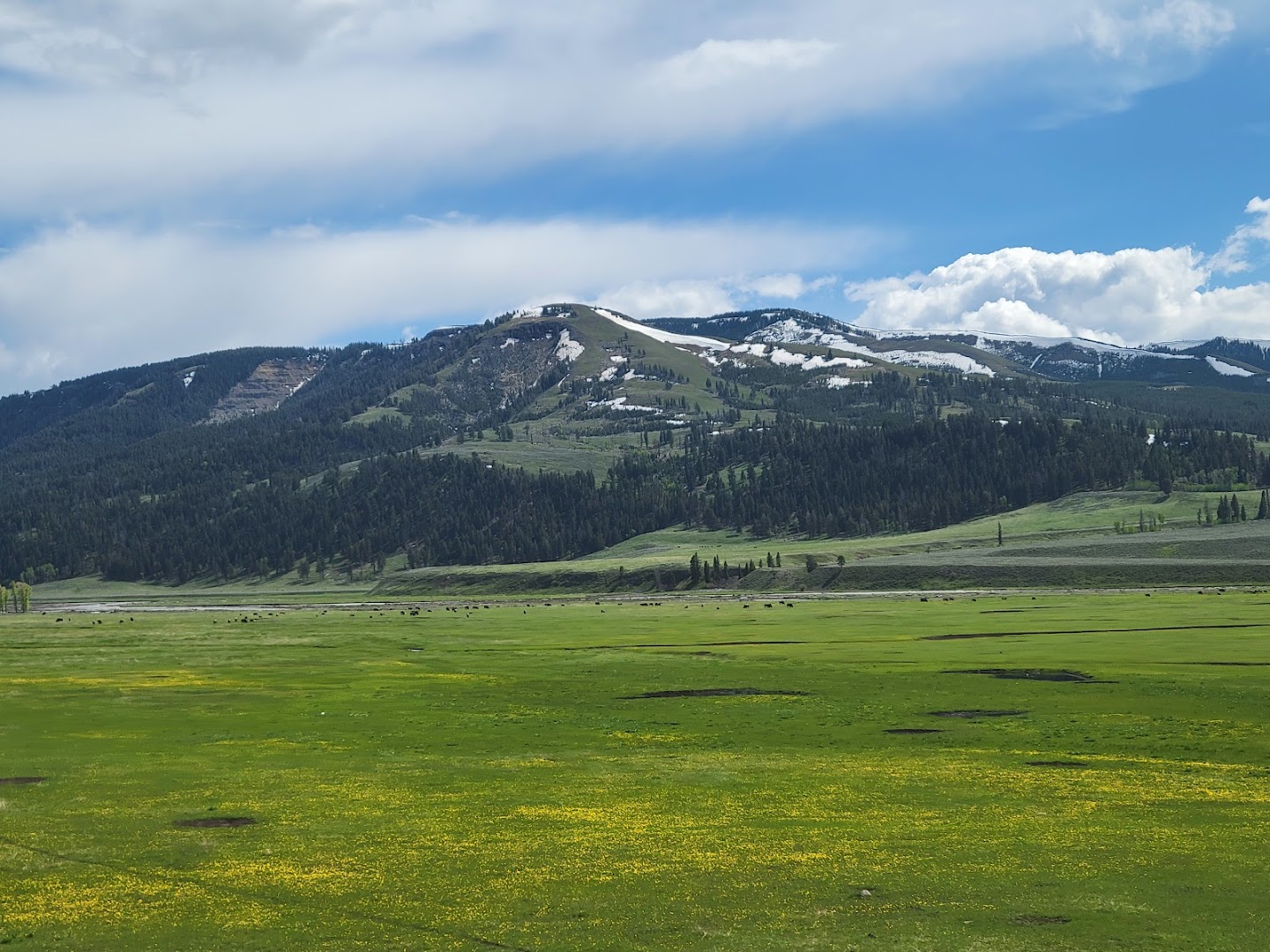 Lamar Valley