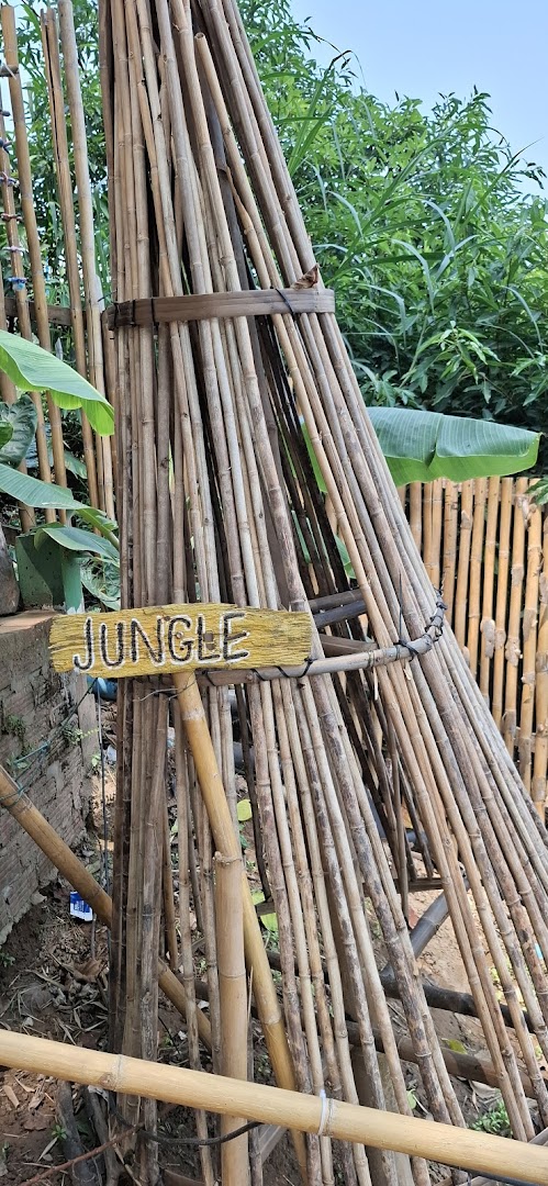 Bamboo bridge