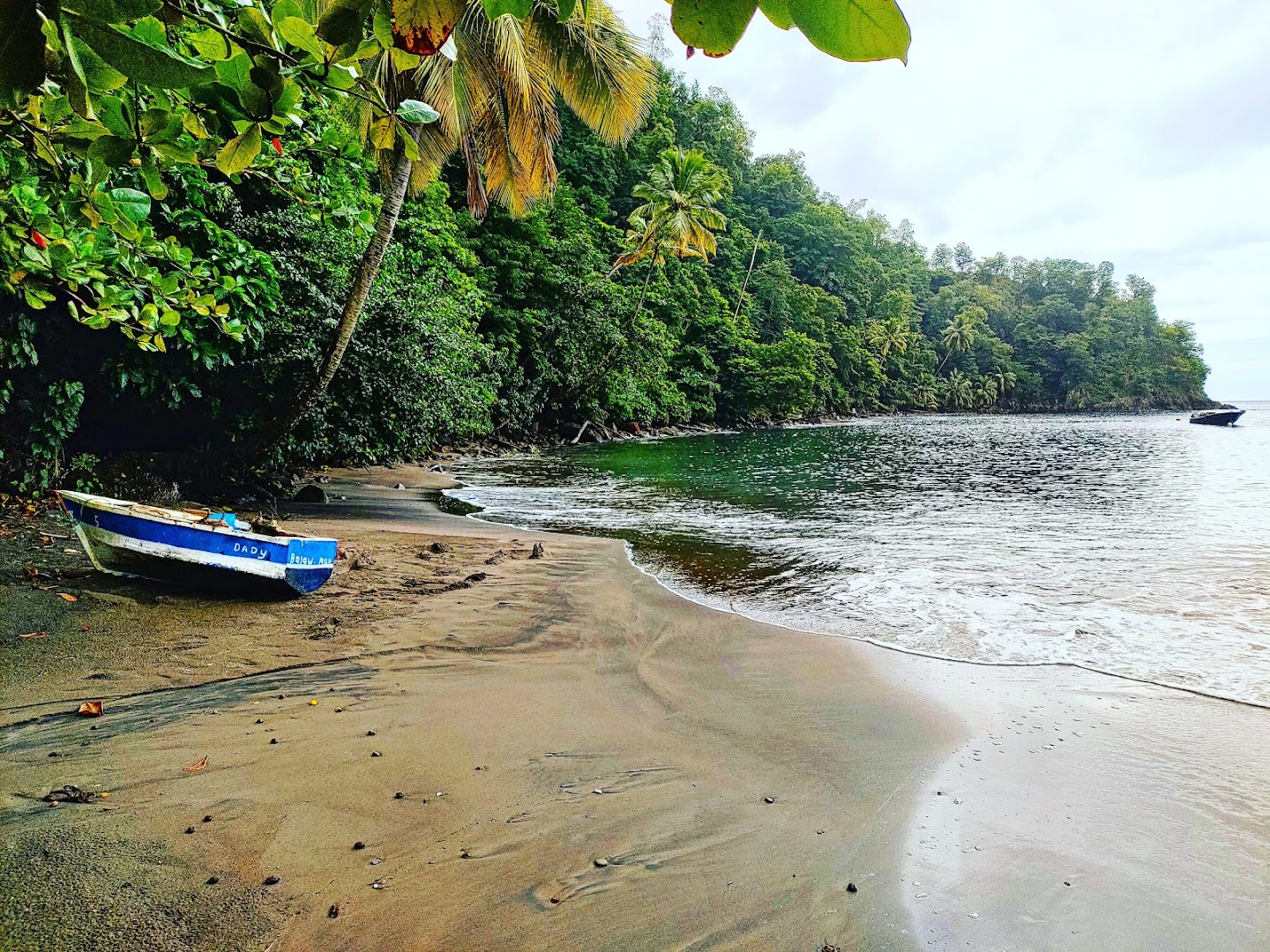 Toucari Bay