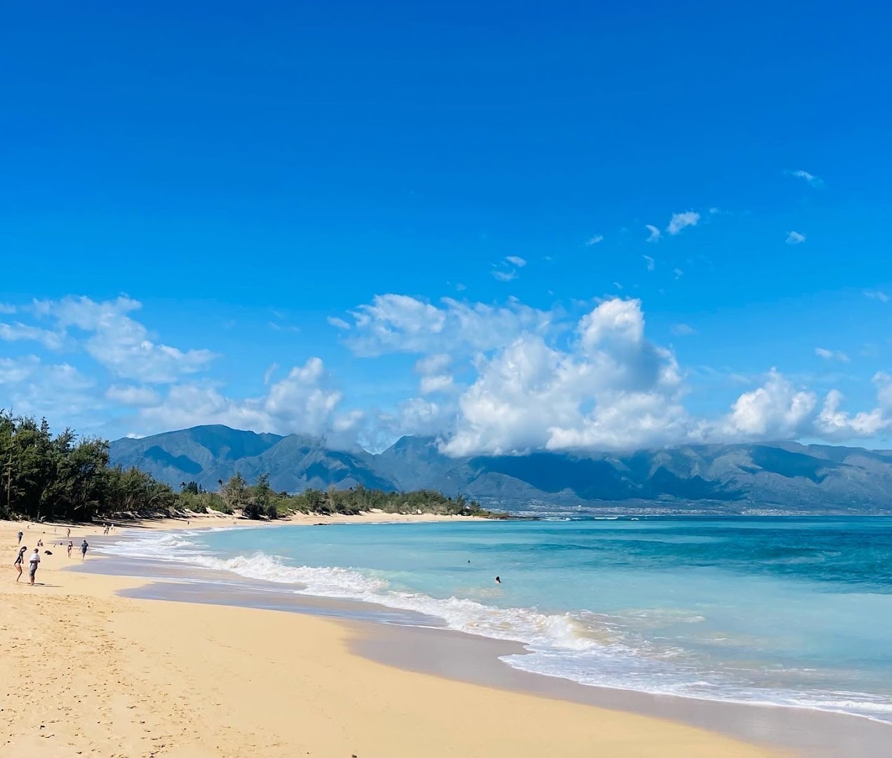 Baldwin Beach Park