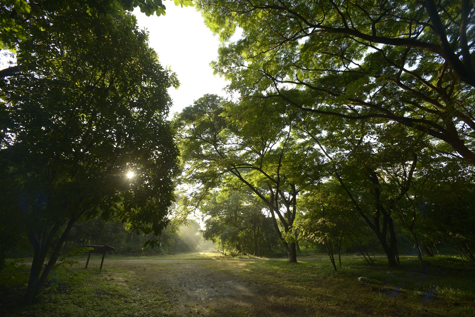 Cerro Blanco Protected Forest