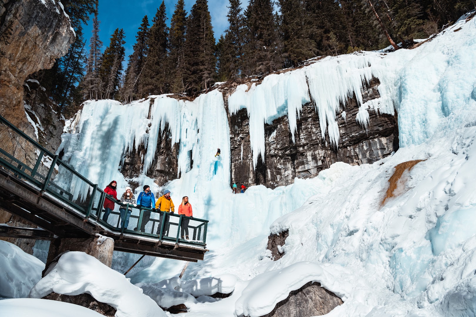 Discover Banff Tours