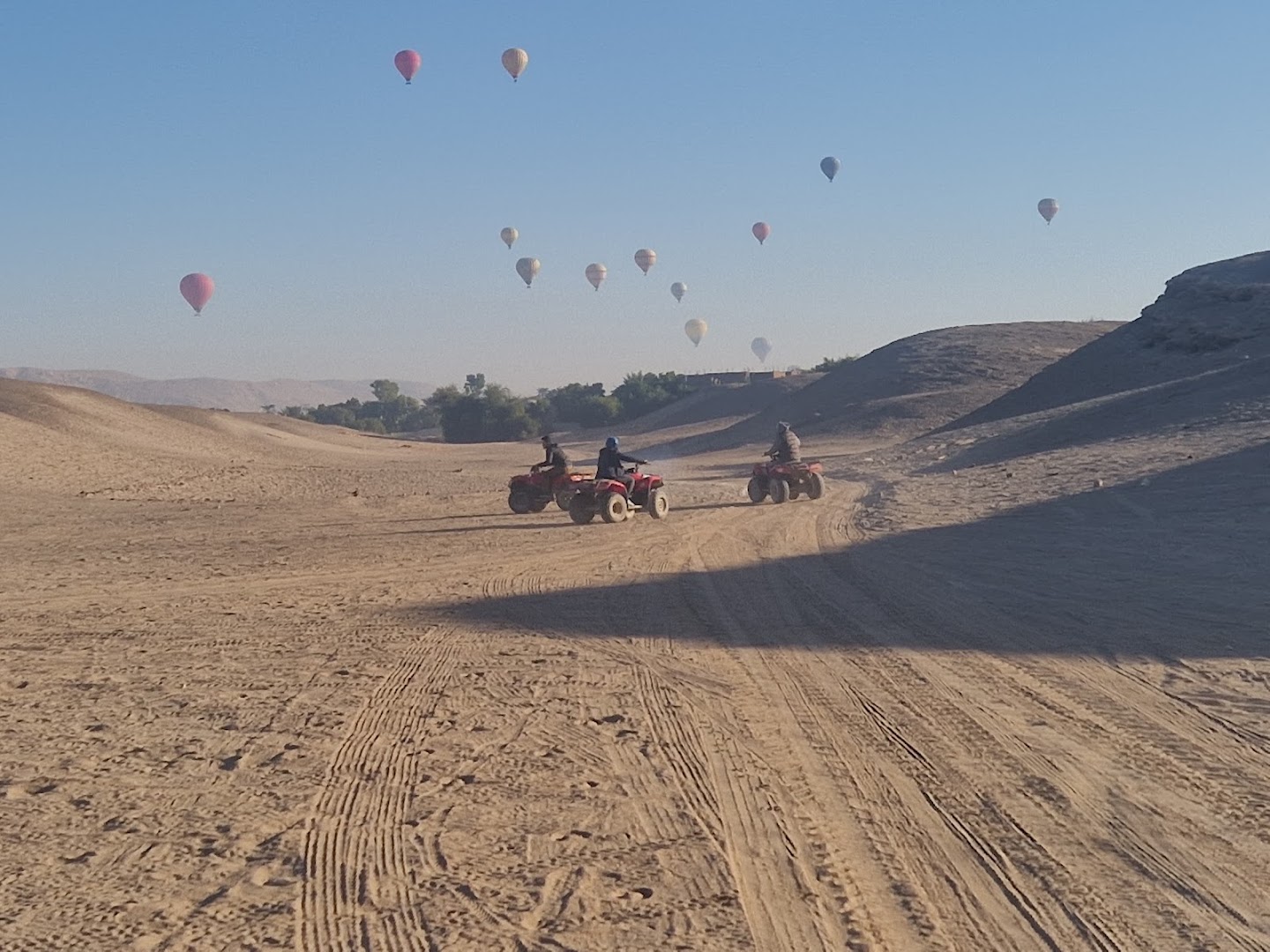 Safari quad