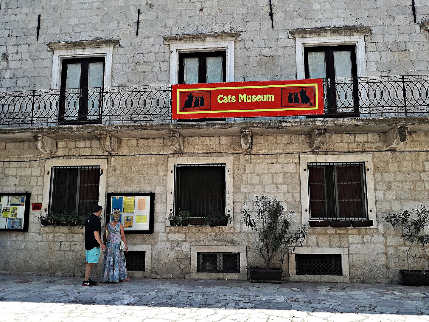 Kotor Cats Museum